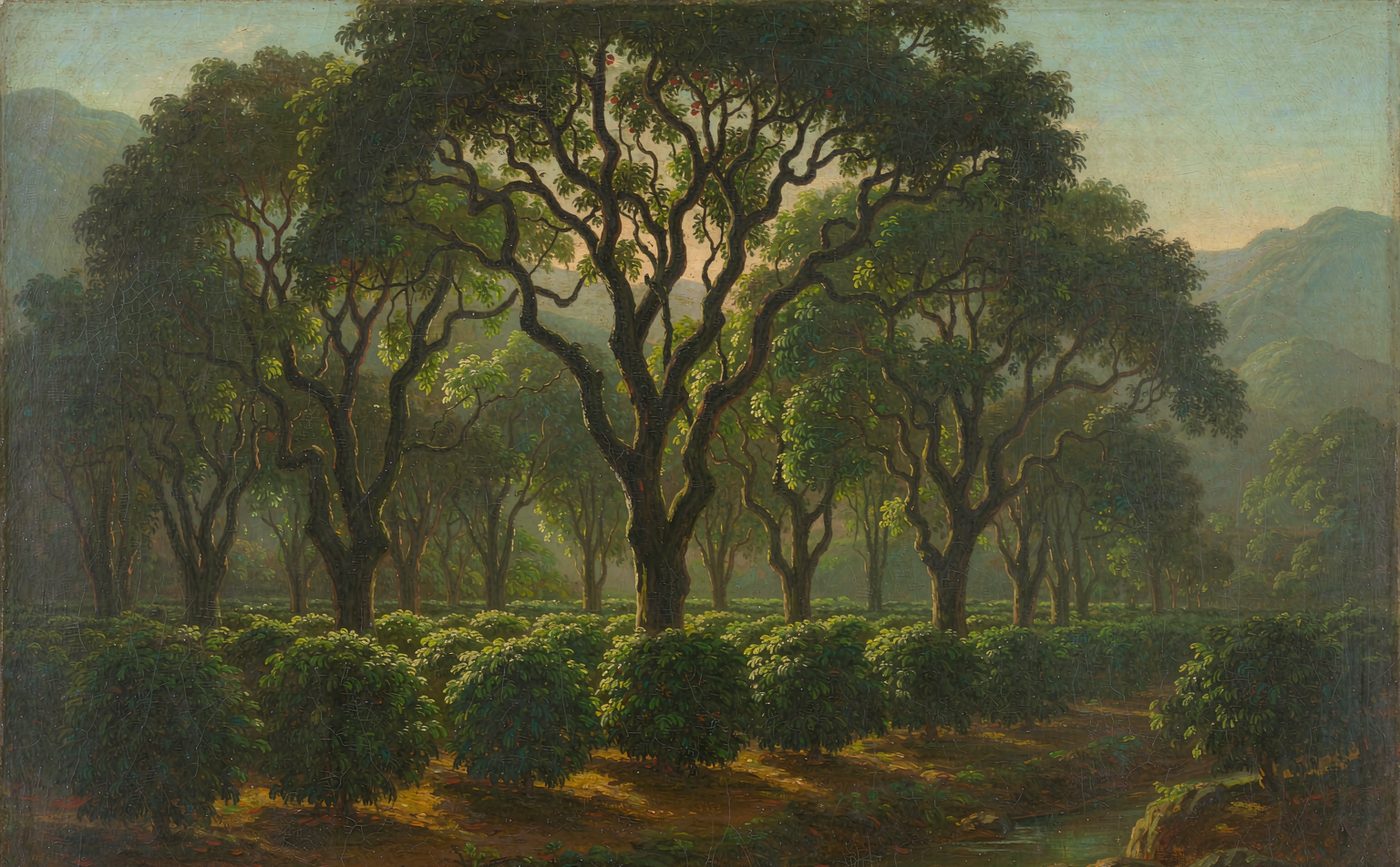 Romantic landscape painting of lychee trees with coffee shrubs in the understory